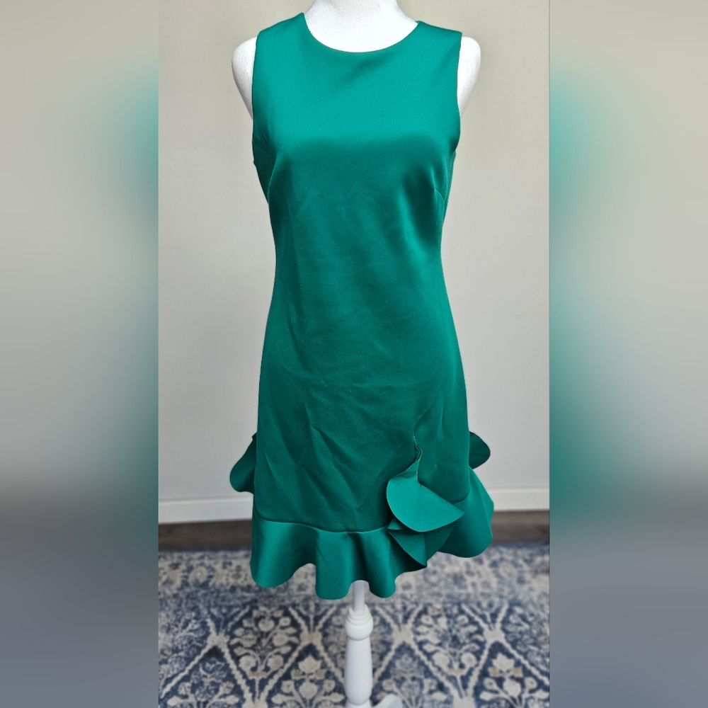 Beautiful and elegant Vince Cameron dress